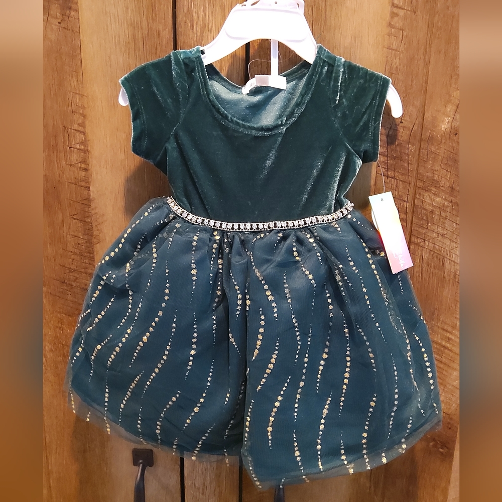 Nanette Baby Velvet Green Dress - 12M